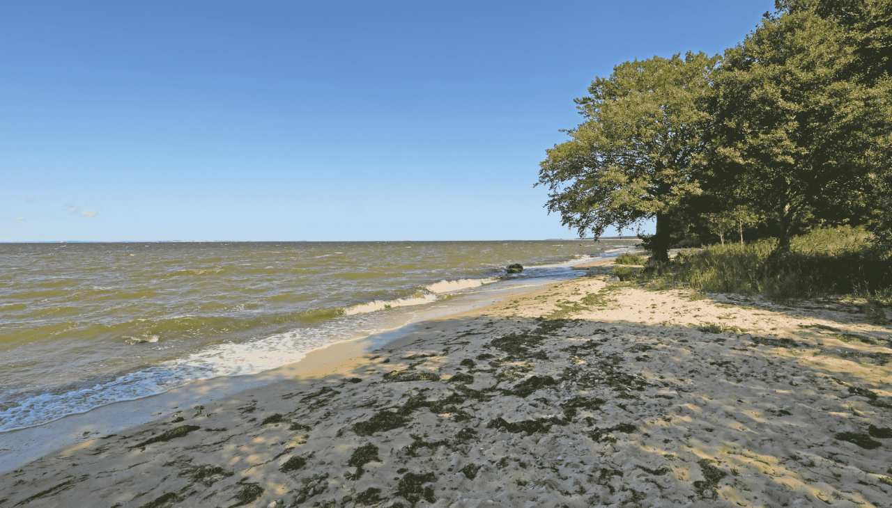 Piaszczysta plaża, © TMV/Gohlke