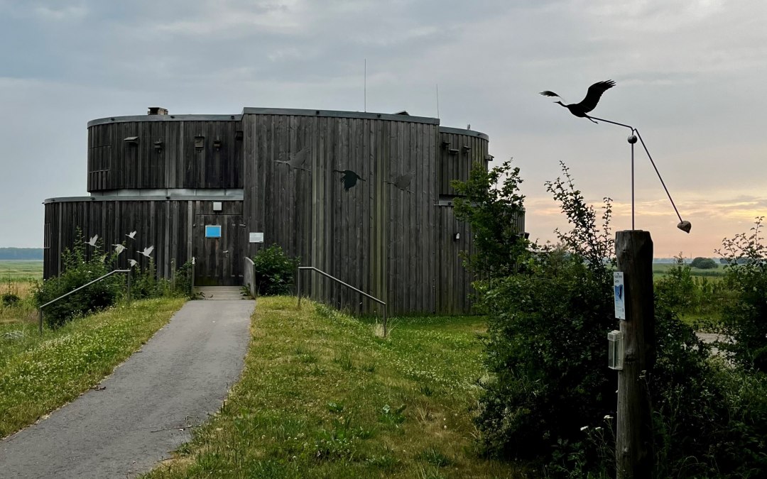Kranorama_TV FDZ_Klutta, © TV FDZ_Klutta