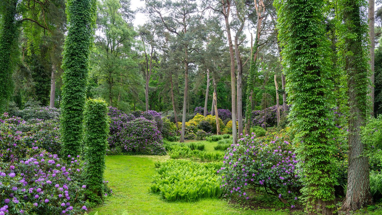 Flowers, bushes and trees at Rostock Zoo. // &copy; Zoo Rostock/ Dr&uuml;bbisch