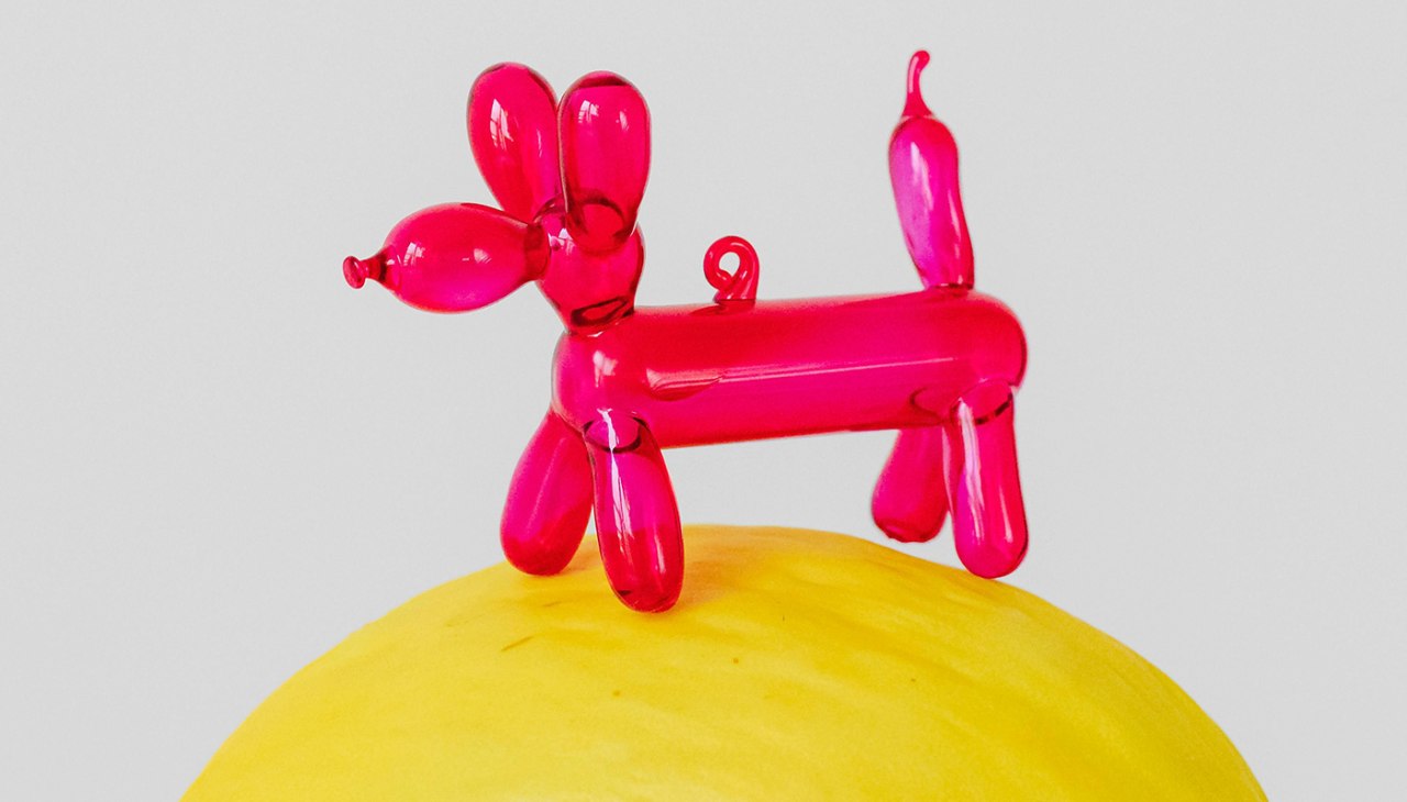 &copy; Karola G / Pexels