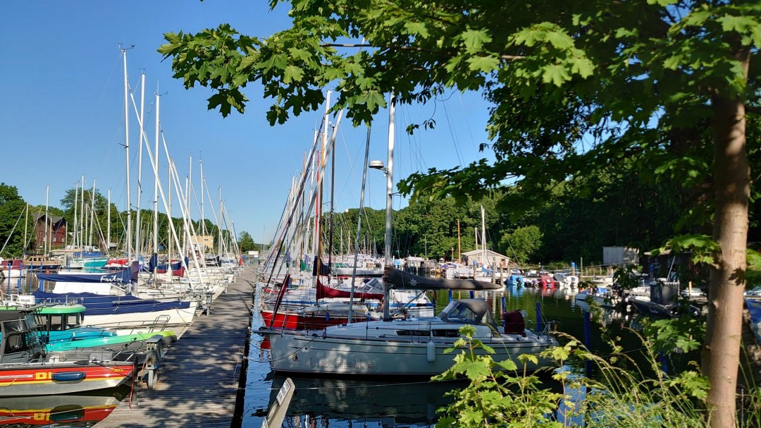 YC Strelasund, © YCS