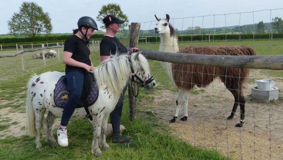 Zoo dla zwierząt na torze wyścigowym w Bad Doberan // &copy; Bernsteinreiter
