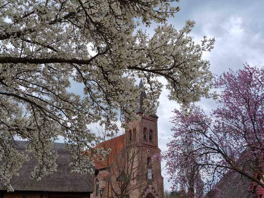 Kessin vicarage, © Martin Goffing