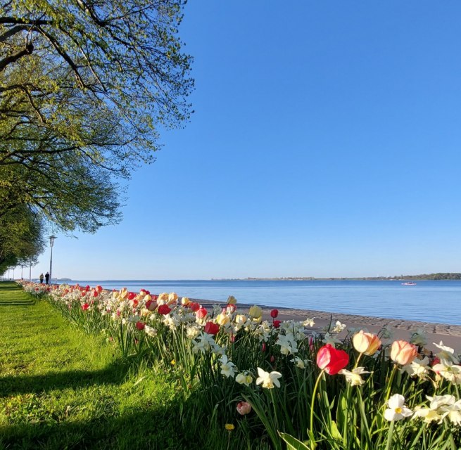 &copy; Kredl / TZ HST