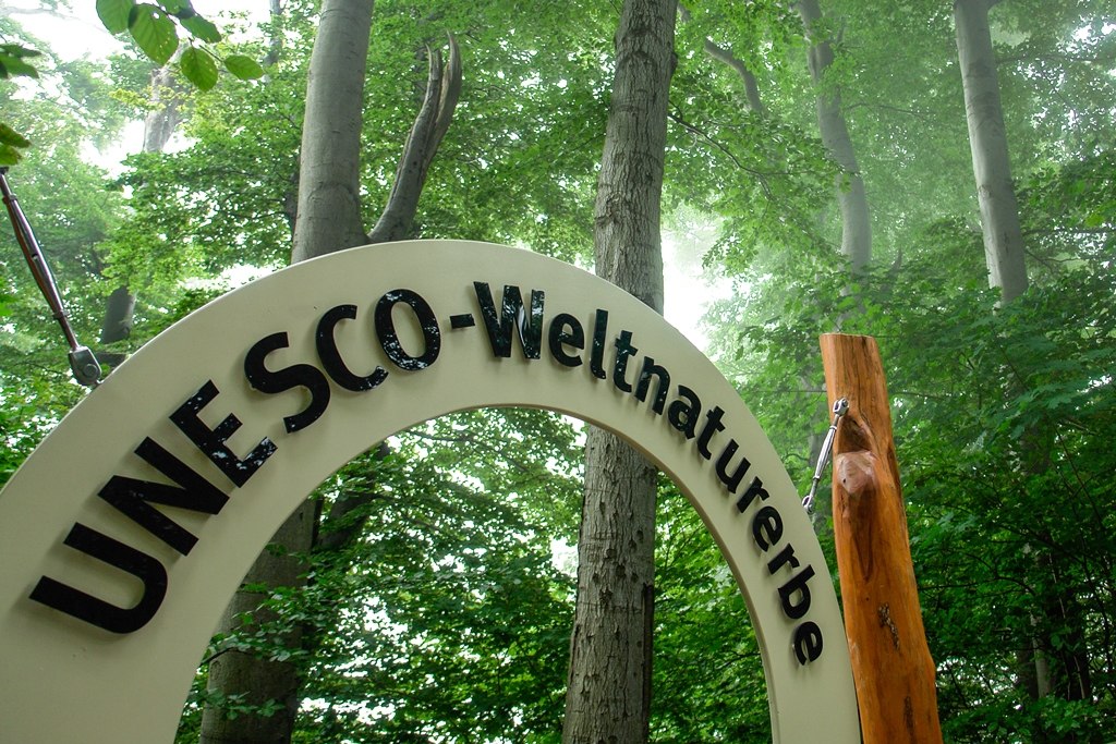 © NZK-Lehmann © NZK-Lehmann