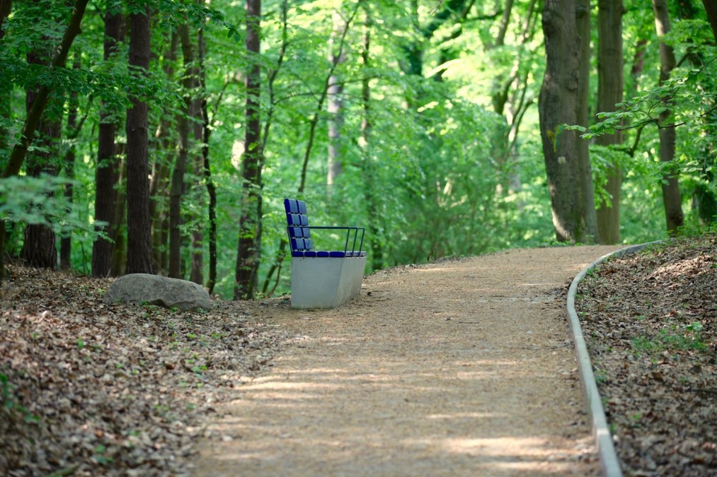 Wycieczka terapeutyczna Wycieczka terapeutyczna