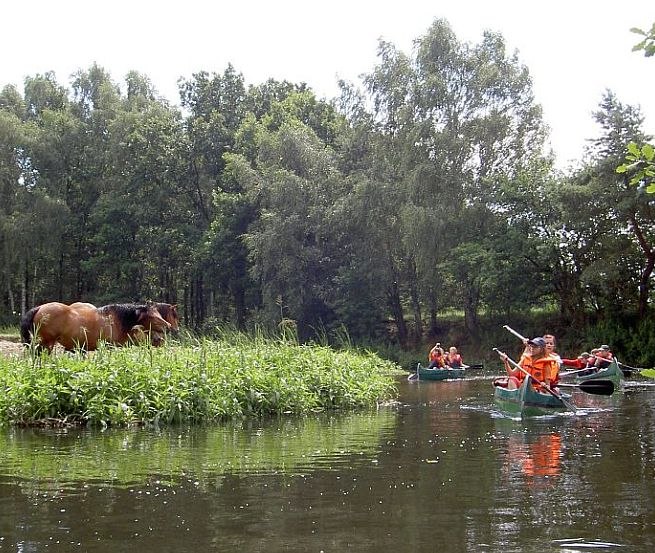 Naturidylle auf der Alten Elde // &copy; Lewitzcamp Garwitz