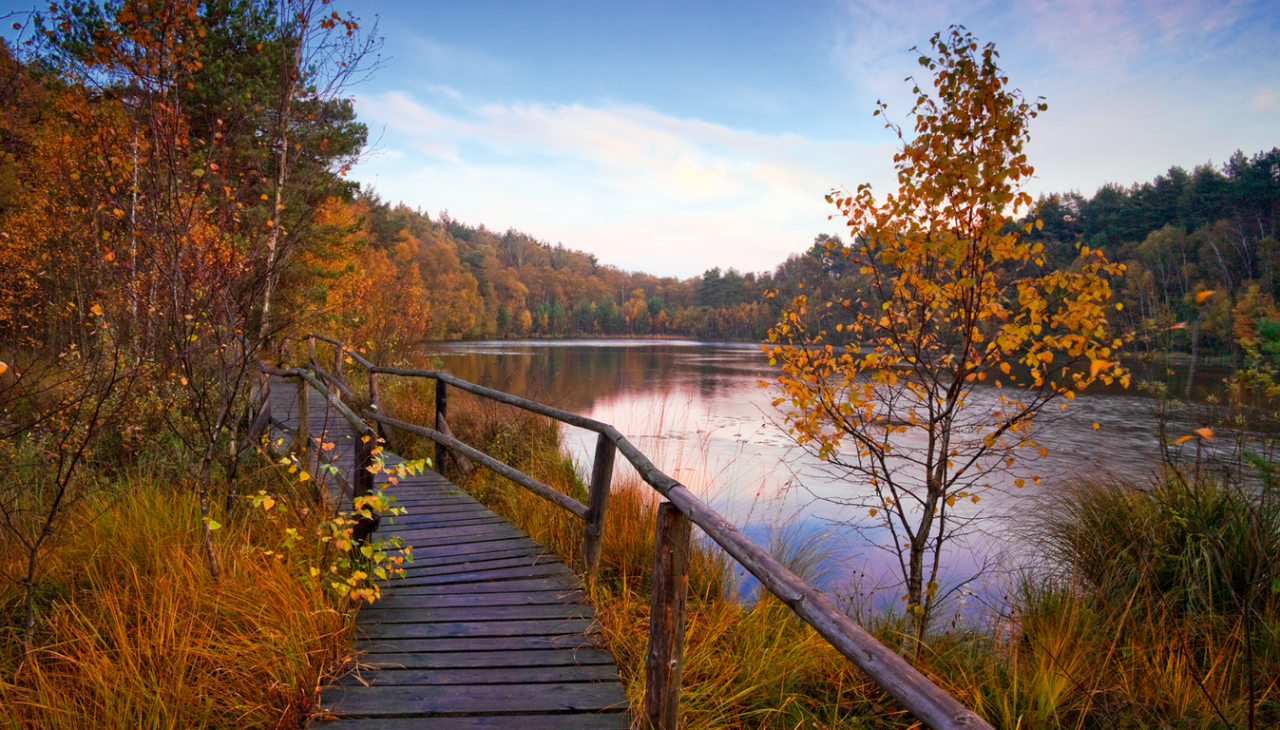 TMV Allrich, © TMV/Allrich