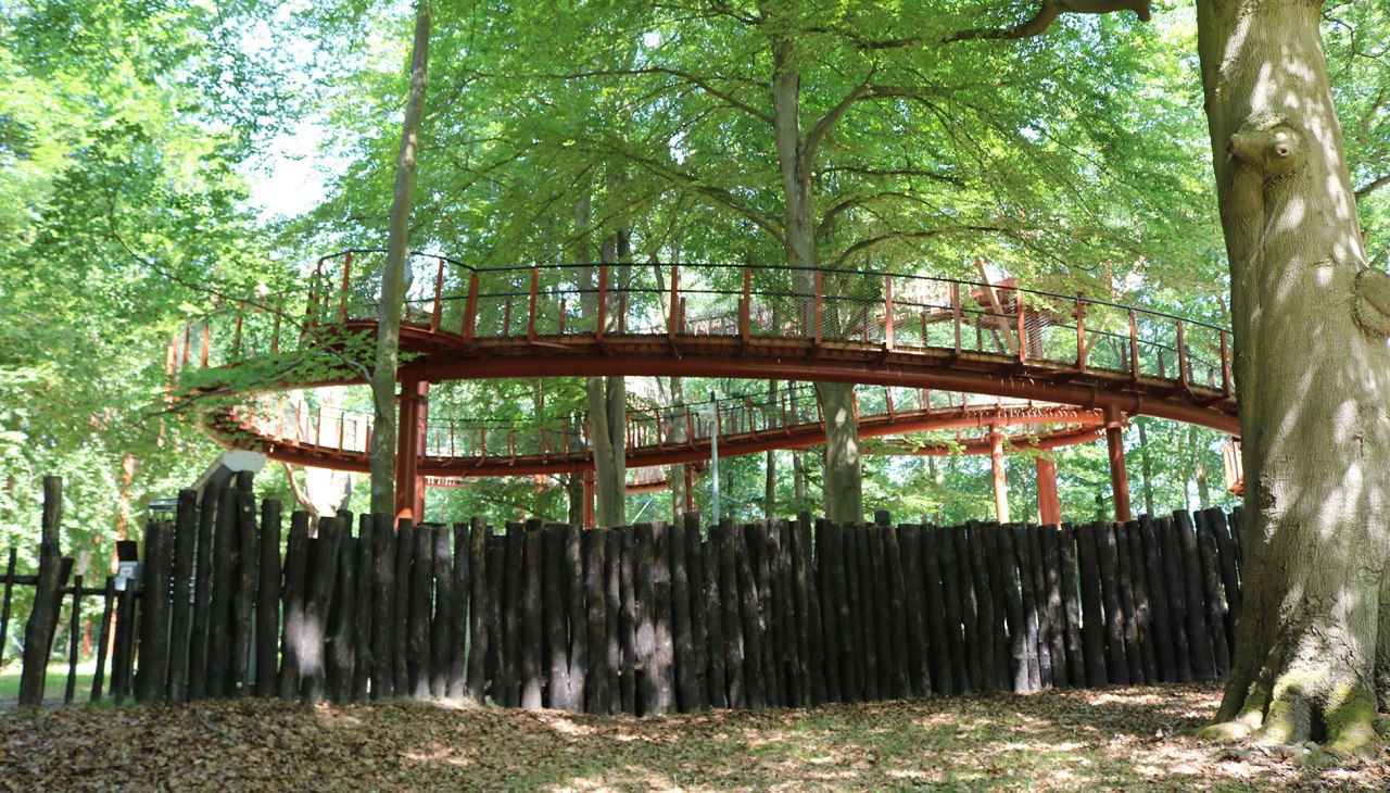 Ivenack - boomtop wandeling, © Silke Voss
