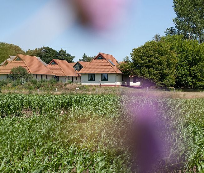 Welcome to the Jugendtours vacation village Ummanz, © Jugendtours-Feriendorf Ummanz/Meixner