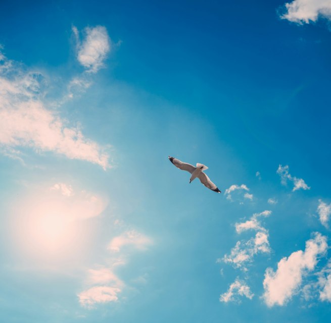 Fahrt ins Blaue – Überraschung garantiert! // © Foto von Artem Pechenkin auf Unsplash Fahrt ins Blaue – Überraschung garantiert! // © Foto von Artem Pechenkin auf Unsplash