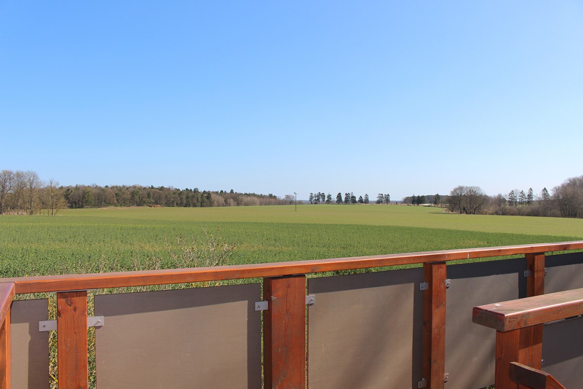 Widok z platformy w kierunku Adlerhorst, &copy; Kur- und Tourismus GmbH G&ouml;hren-Lebbin