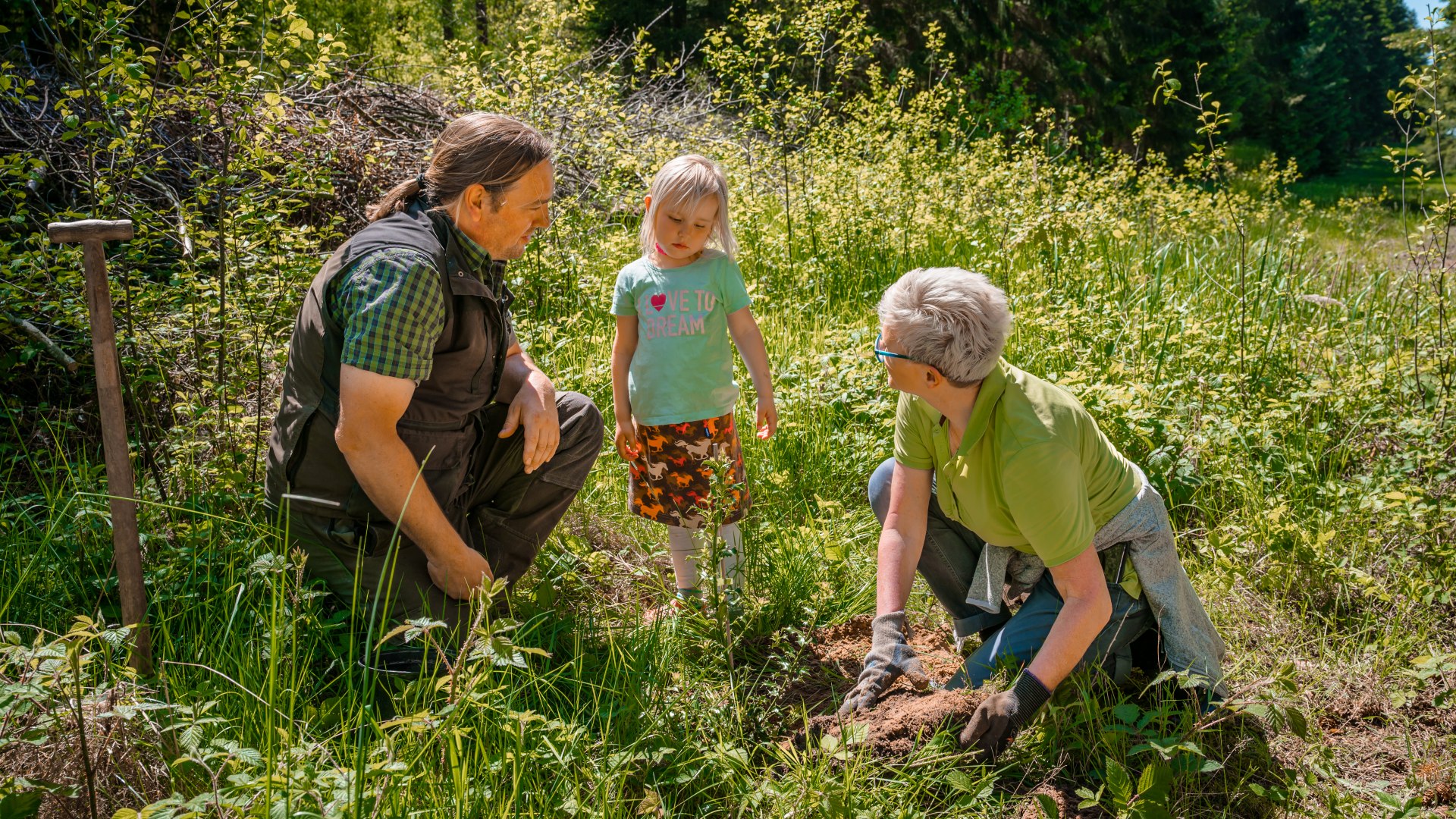 Er wordt een hulstboom geplant. Twee volwassenen laten een klein meisje precies zien wat er moet gebeuren. // De perfecte plek om hulst te planten // © MV-T/Tiemann Er wordt een hulstboom geplant. Twee volwassenen laten een klein meisje precies zien wat er moet gebeuren.