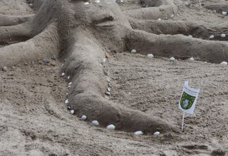 &copy; Sabine St&ouml;ckmann