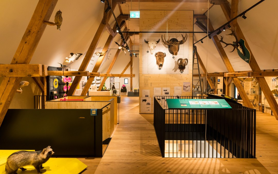 Forst- und Jagdmuseum (4)-min, © Moritz Kertzscher