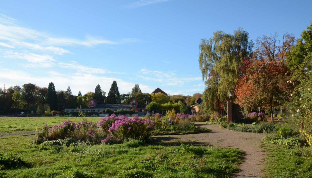 Wielki książęcy ogr&oacute;d kuchenny w Herbt, &copy; Tourismusverband Mecklenburg-Schwerin