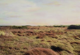 Gallery No cheese consumption // &copy; Tim Steingens