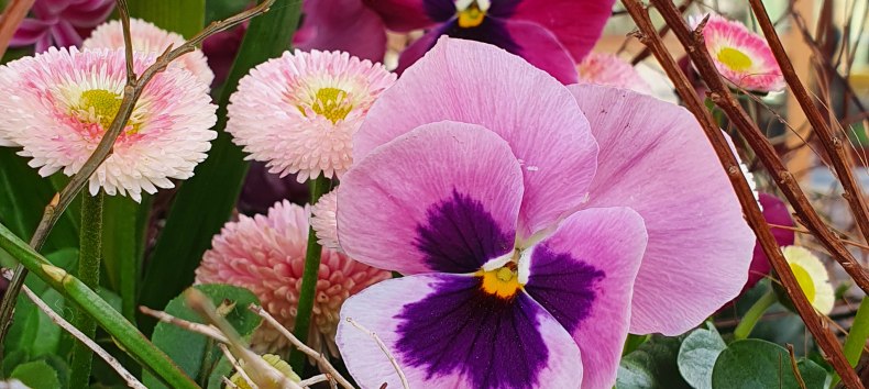 &copy; B&Auml;RENWALD M&uuml;ritz | Manuela Klier