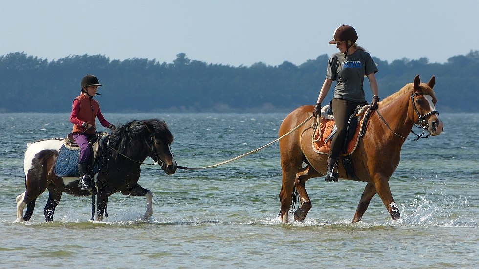 Nieuwe paden kunnen te paard worden verkend // © TMO Nieuwe paden kunnen te paard worden verkend // © TMO