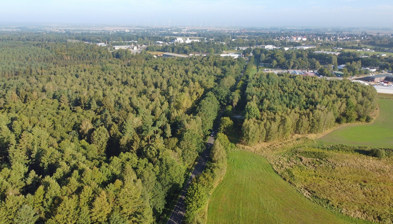 Uitzicht op B&uuml;tzow, &copy; Landesforst MV