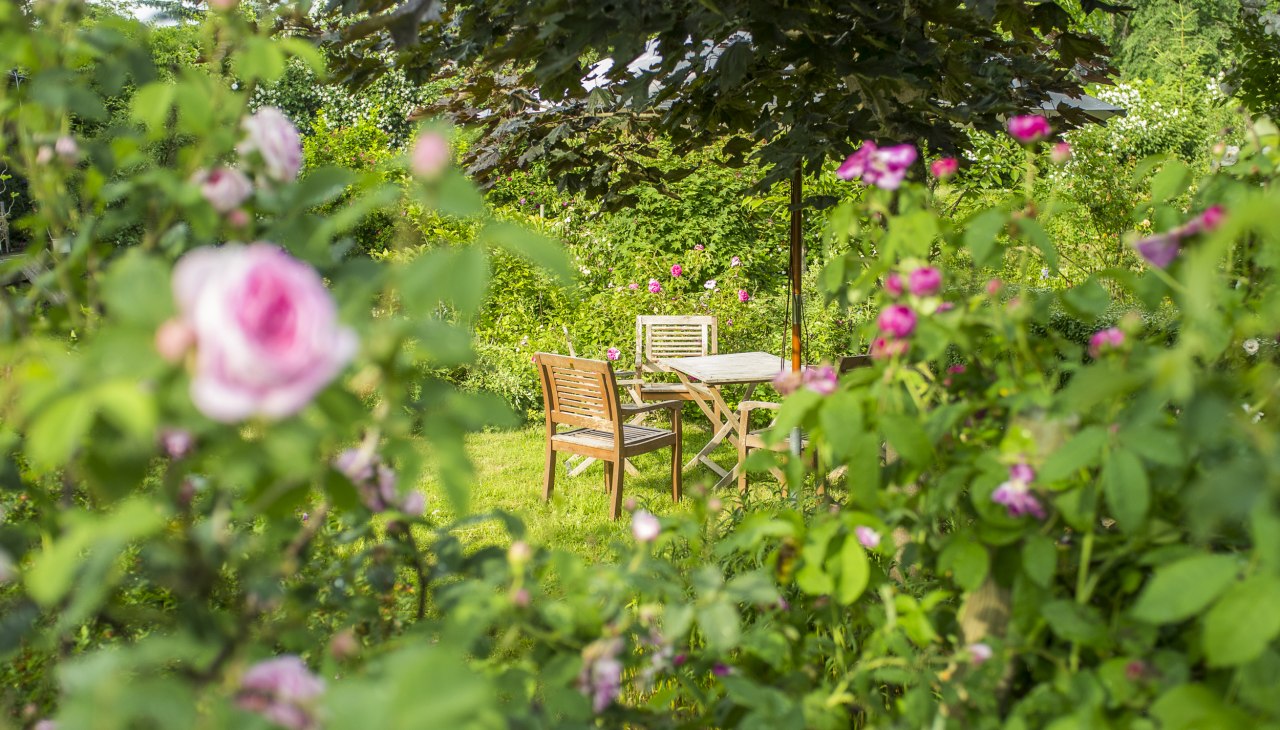W ogrodzie r&oacute;żanym dworu Altbauhof, &copy; Gutshaus Altbauhof / Tim Kellner
