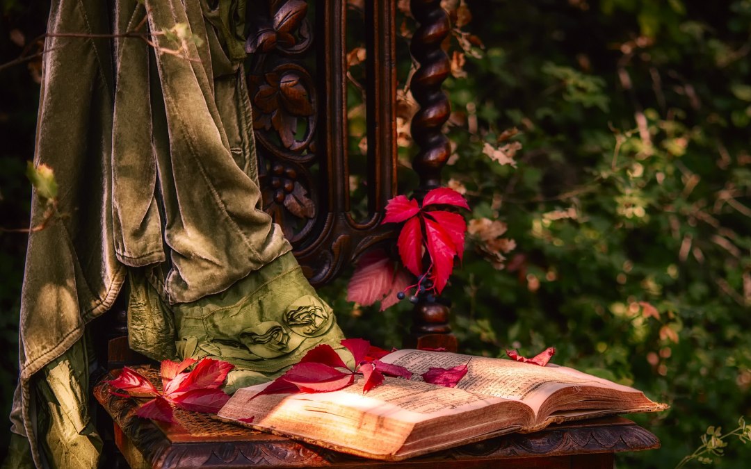 Literarischer Waldspaziergang 3 MK, © pixabay