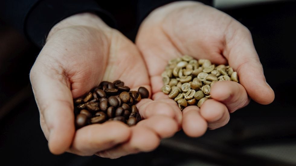 © Fileo Kaffeemanufaktur GmbH © Fileo Kaffeemanufaktur GmbH