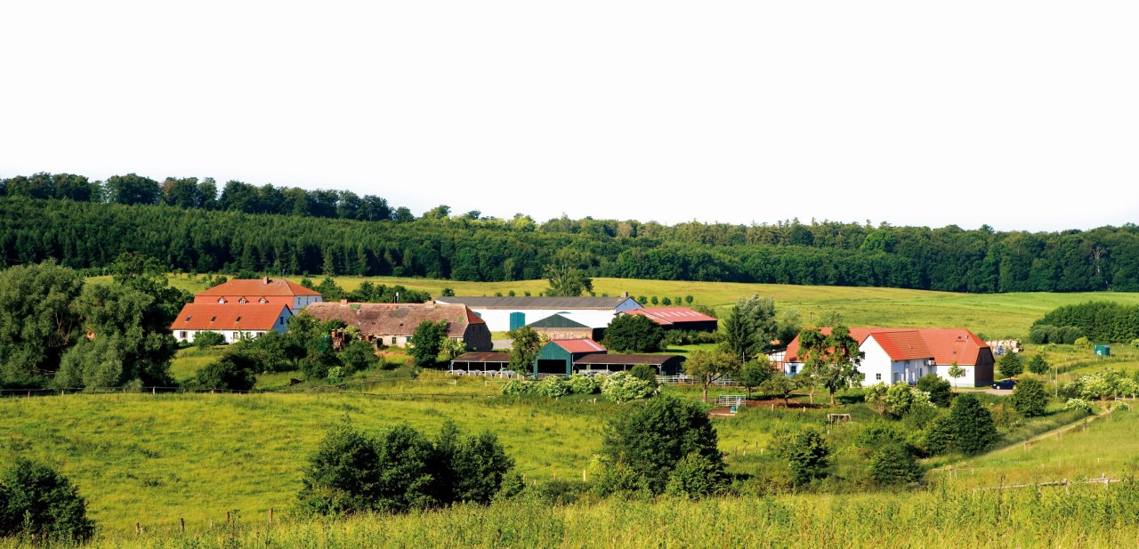 Het landgoed en de Gourmet Manufaktur in Klepelshagen genesteld in het landschap van de Brohmer Berge // © Gourmet Manufaktur Gut Klepelshagen Het landgoed en de Gourmet Manufaktur in Klepelshagen genesteld in het landschap van de Brohmer Berge // © Gourmet Manufaktur Gut Klepelshagen