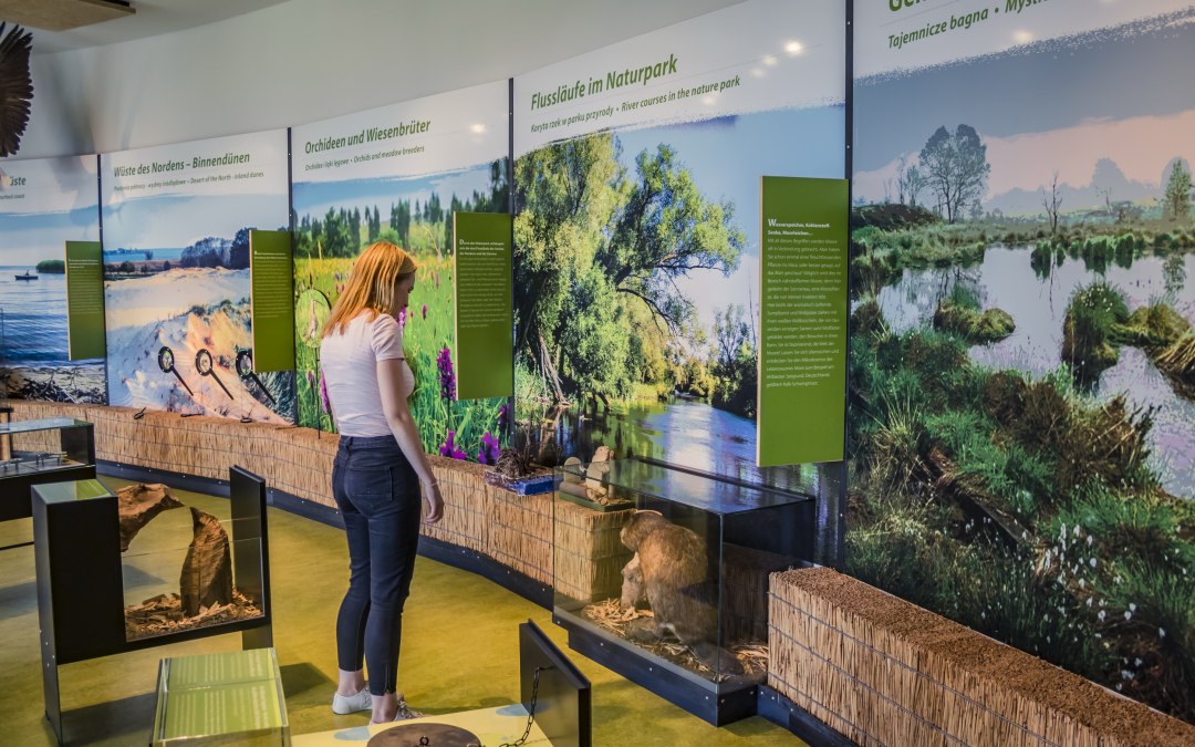 Natuurpark Am Stettiner Haff - Tentoonstellingszalen, © tvv/Philipp Schulz