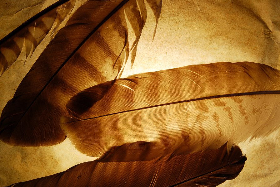 EVENT TRACKING, © Nationalpark-Zentrum KÖNIGSSTUHL