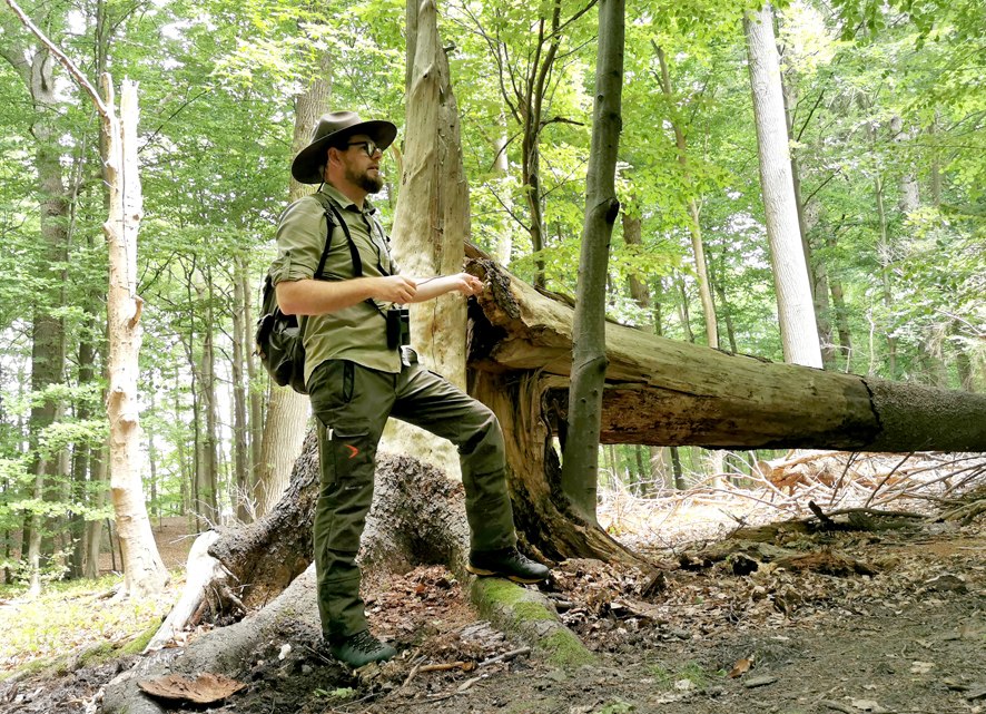 Rondleiding met een ranger in het natuurreservaat Granitz, © Biosphärenreservat Südost-Rügen Rondleiding met een ranger in het natuurreservaat Granitz, © Biosphärenreservat Südost-Rügen