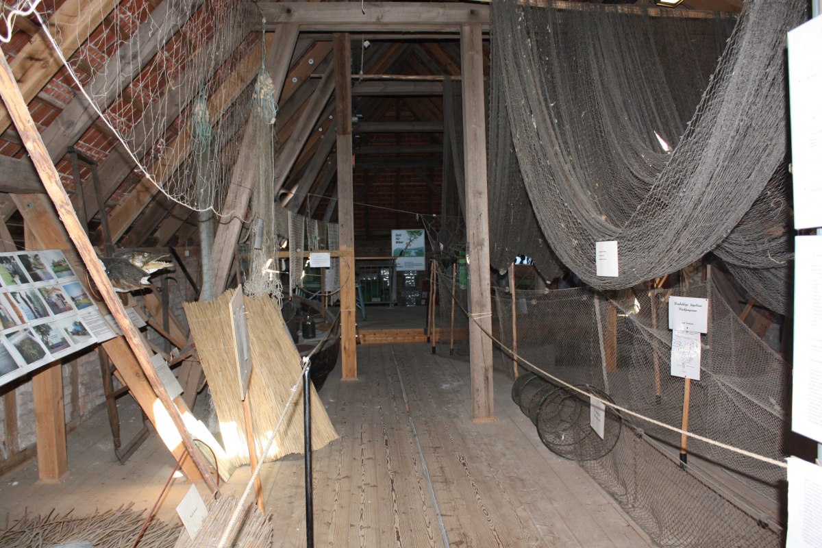 Fishing exhibition, &copy; Amt Mecklenburgische Kleinseenplatte