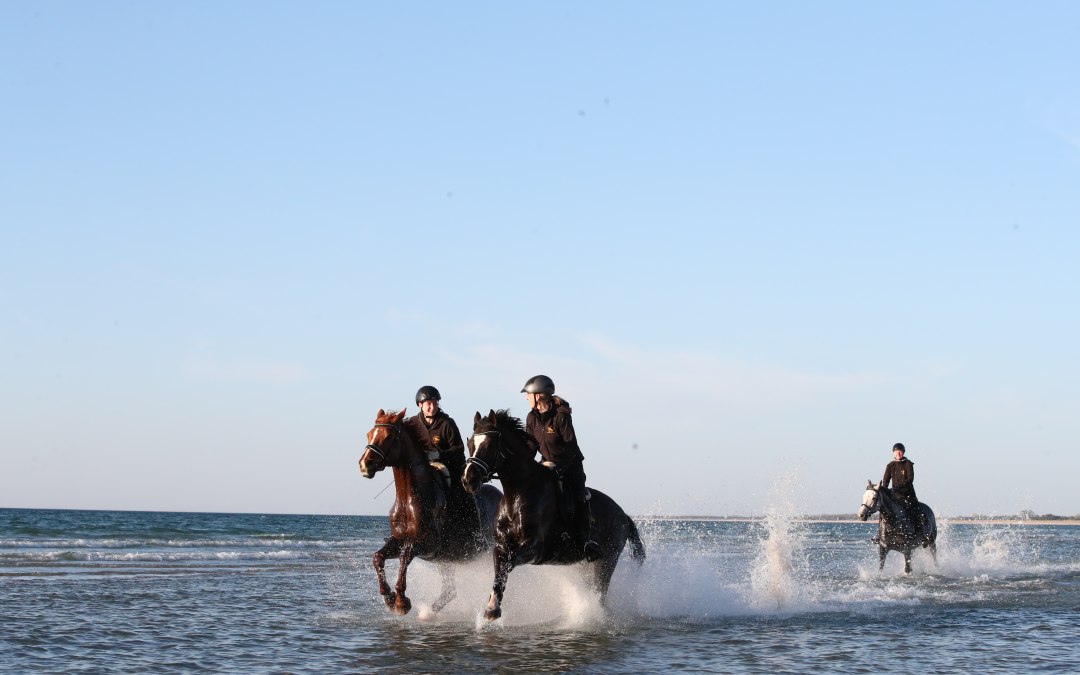 Horse riding on the beach, © TMV/ACP Pantel