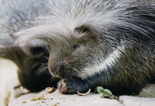 &copy; Theresa Lange Fotografie