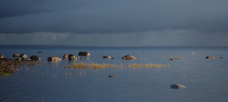 Insel Koos // © M. Sänger Insel Koos // © M. Sänger