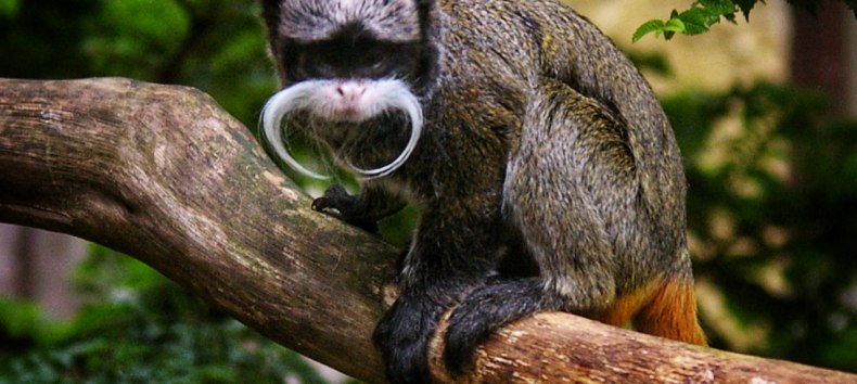 &copy; Zoo Stralsund