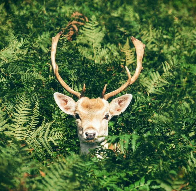 © Foto von Chris Greenhow auf Unsplash