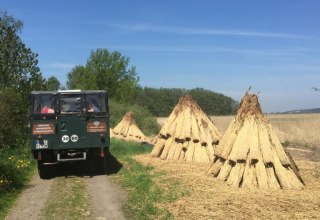 Past pipe rents for new roofs // &copy; Volker Barthmann