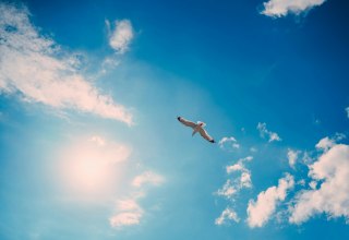 Fahrt ins Blaue – Überraschung garantiert! // © Foto von Artem Pechenkin auf Unsplash Fahrt ins Blaue – Überraschung garantiert! // © Foto von Artem Pechenkin auf Unsplash