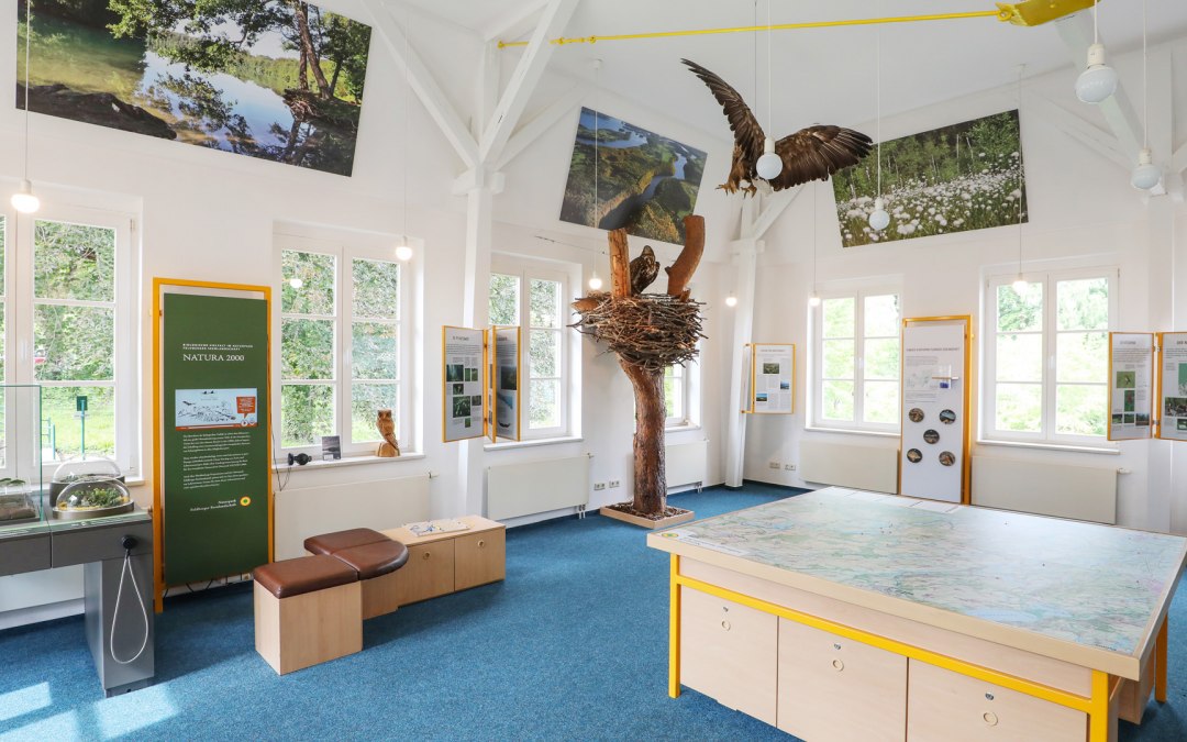 Tentoonstelling over het Natuurpark merengebied Feldberg in het Haus des Gastes_1, © TMV/Gohlke