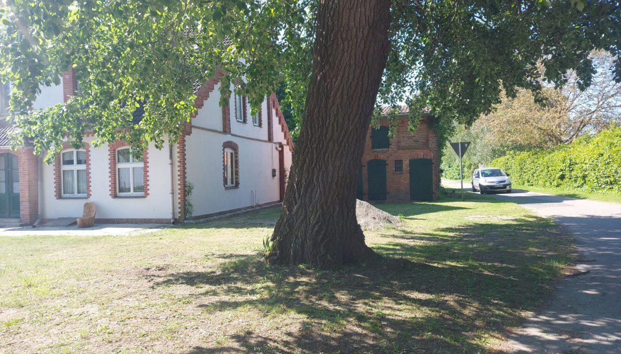 Widok z zewnątrz na dom wakacyjny Sommer Linden, © Sommer Linden