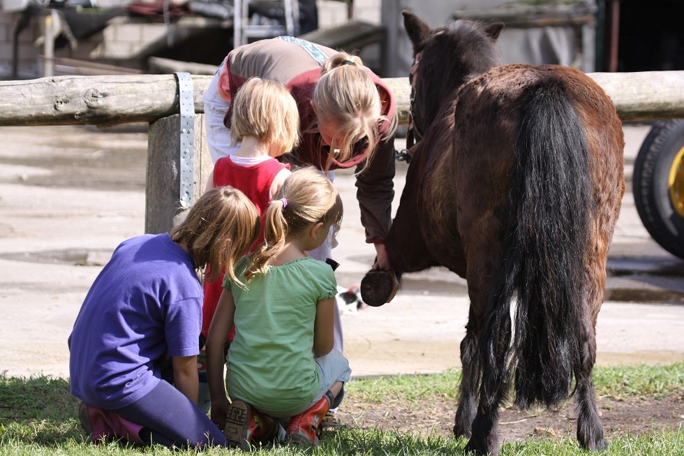 Children learn with us from scratch the right way to deal with horses, © Waldhof Bruchmühle Children learn with us from scratch the right way to deal with horses, © Waldhof Bruchmühle