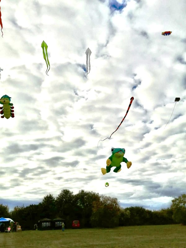 Vliegerfestival, © TDG Rechlin Vliegerfestival, © TDG Rechlin