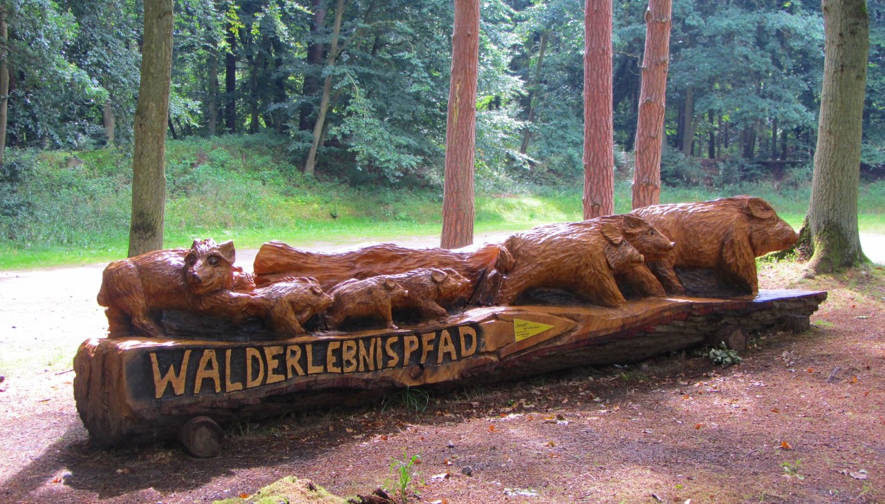 Toegang tot het avonturenpad in het bos Toegang tot het avonturenpad in het bos