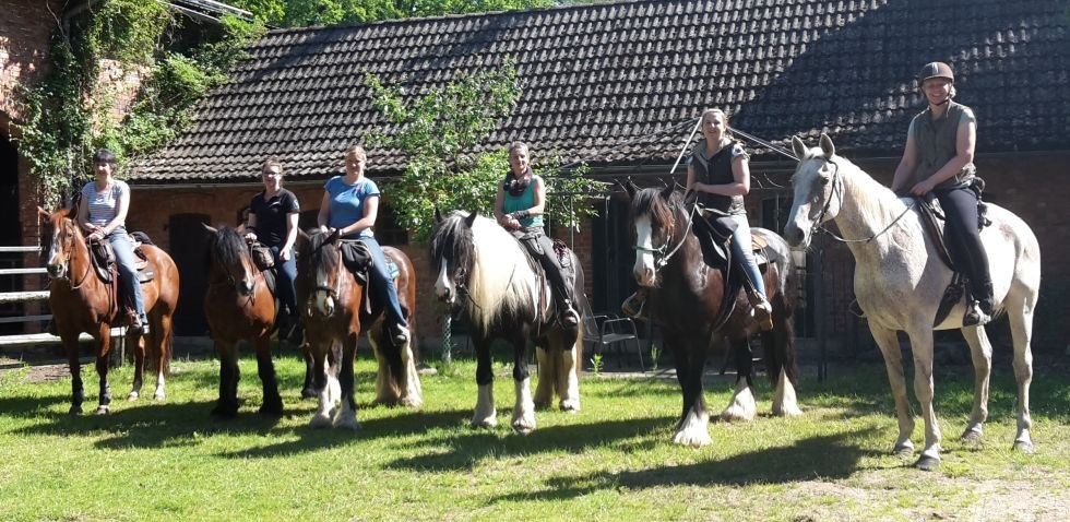 Paard & paard - welkom op de biologische belevenisboerderij Grittel, © Bio Erlebnishof Grittel/ Nicole Albs