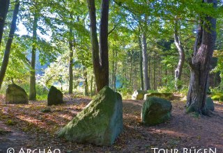Op het kustpad tussen Lancken-Granitz en Stresow liggen de "geitenstenen" in de schaduw van hoge loofbomen. // &copy; Arch&auml;o Tour R&uuml;gen