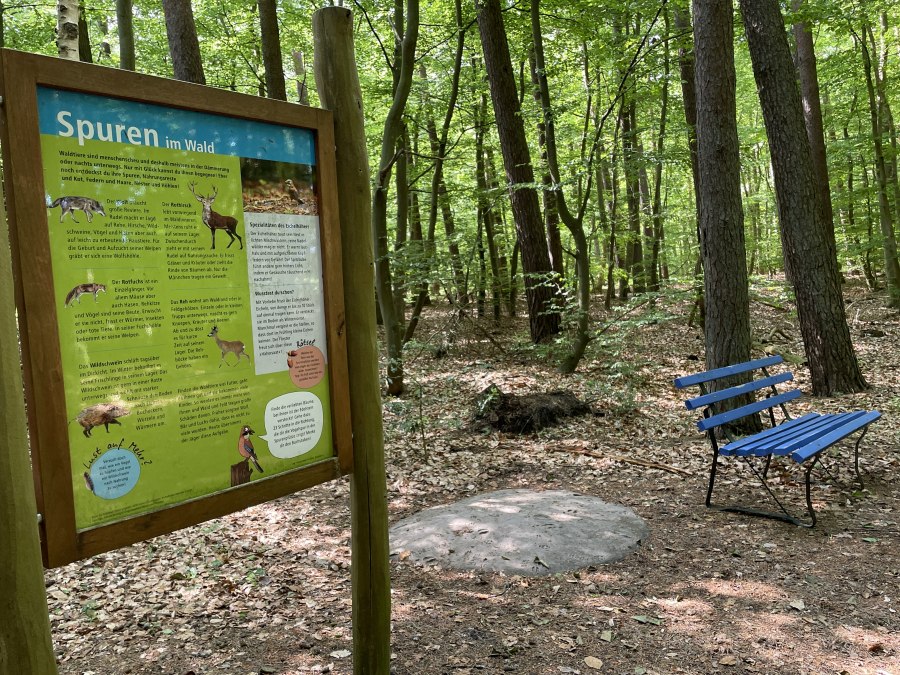 Who walked there? We're going in search of clues!, © TZ Südliche Boddenküste