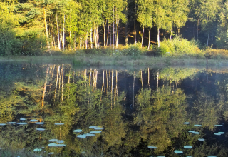Mümmelkensee nature reserve // © Fotoarchiv Naturpark Insel Usedom Mümmelkensee nature reserve // © Fotoarchiv Naturpark Insel Usedom