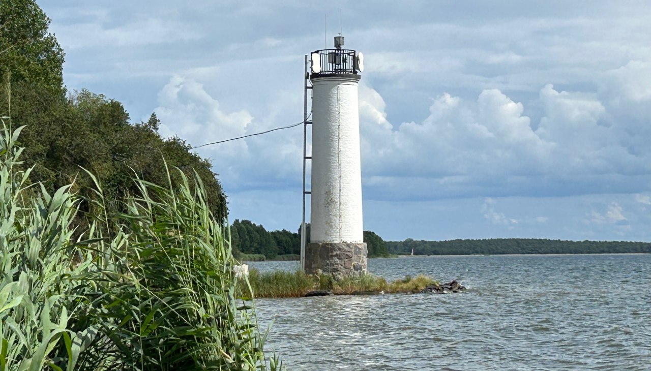 hanomag-safari-halbinsel-zudar-5, &copy; Volker Barthmann