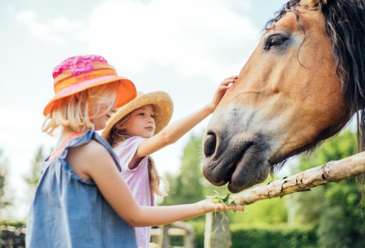 Een meisje aait de neusgaten van een paard. // &copy; MV-T/G&auml;nsicke